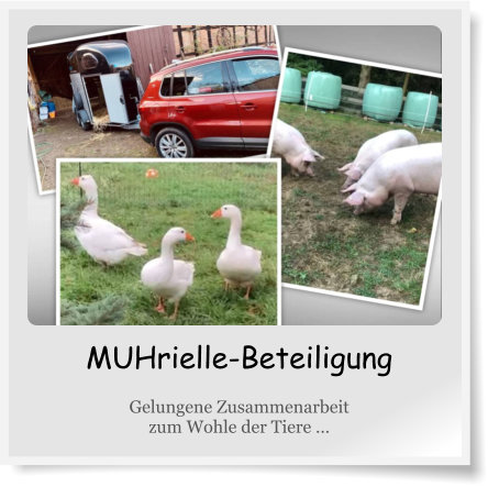 MUHrielle-Tierregister "TPM-Mitwirkung"